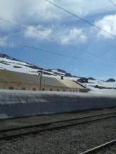 Norway train view